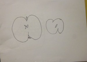 drawing of cut apple