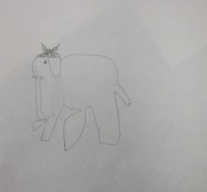 elephant 4