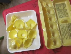 cut up egg cartons