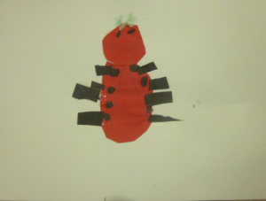 ladybug 5
